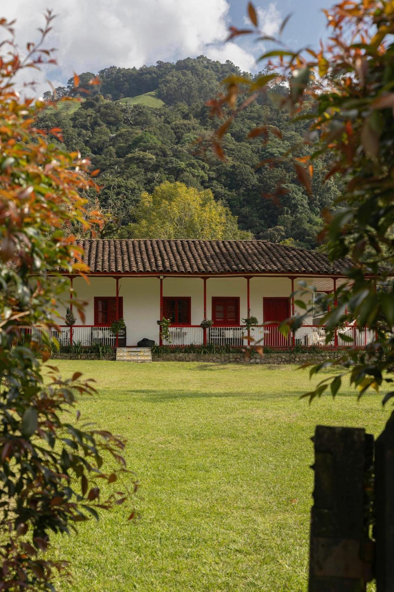 La Cabana Ecohotel - Valle Del Cocora Salento Extérieur photo