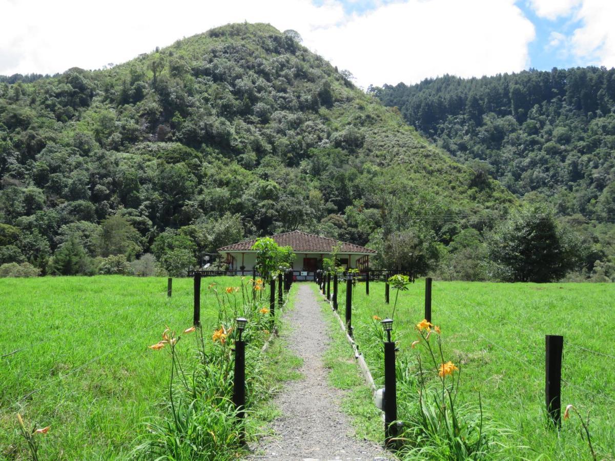 La Cabana Ecohotel - Valle Del Cocora Salento Extérieur photo